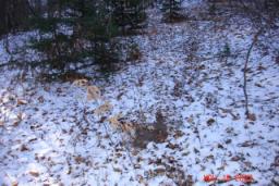 DEER CAMP 2007 046.jpg